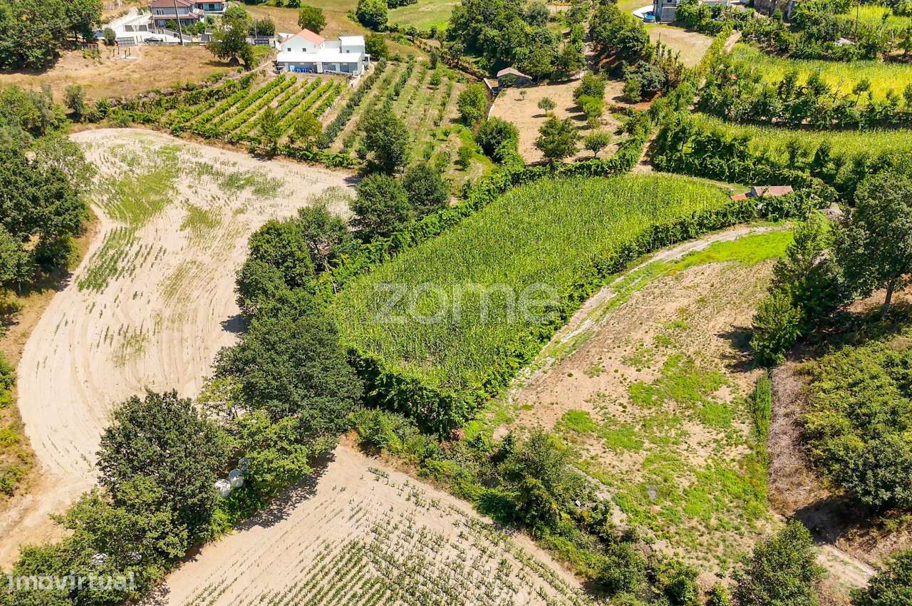 Terreno, 2 386 m², São Gens-9