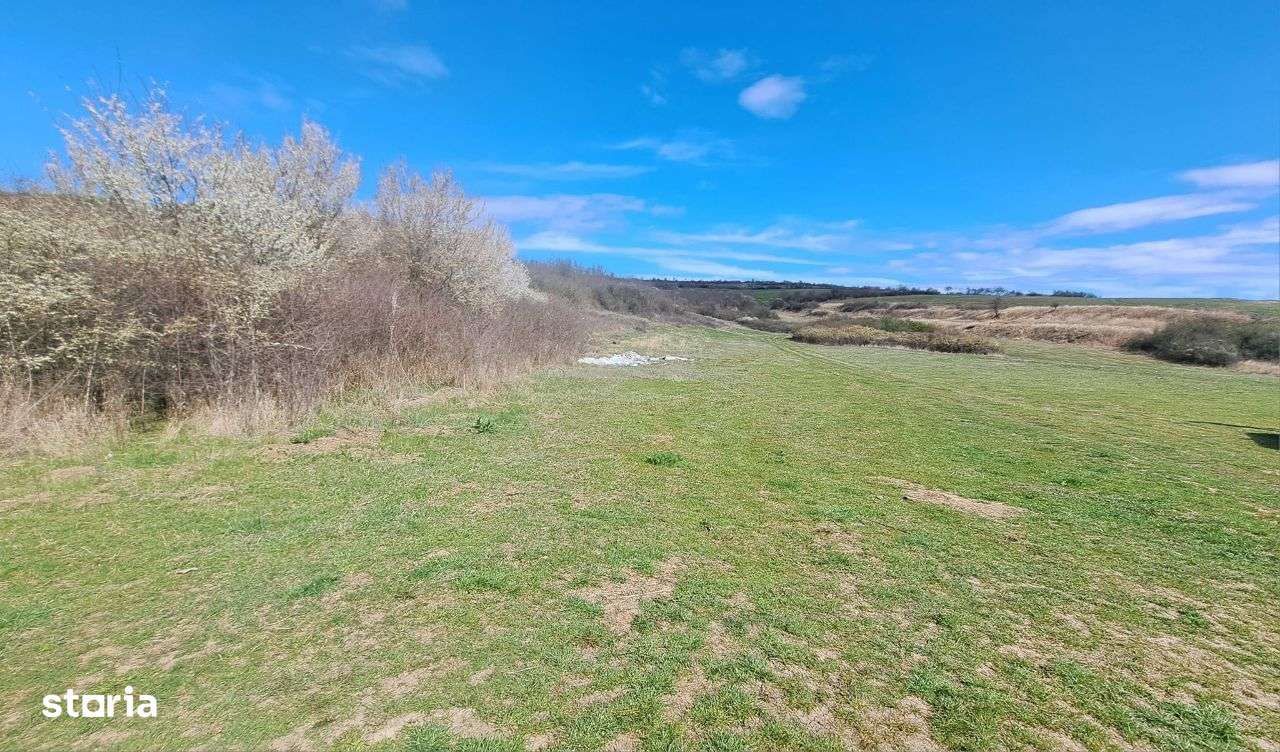 Teren, 10.400 mp lângă Autostrada A1 iesire loc Apoldu de Jos - Imagine principală: 4/7