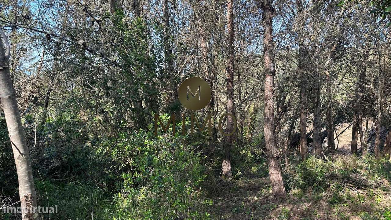 Terreno Para Venda na Murtinheira-29