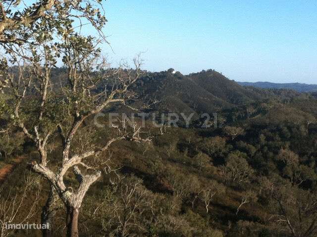 Herdade da Afeiteira - Grande imagem: 4/8