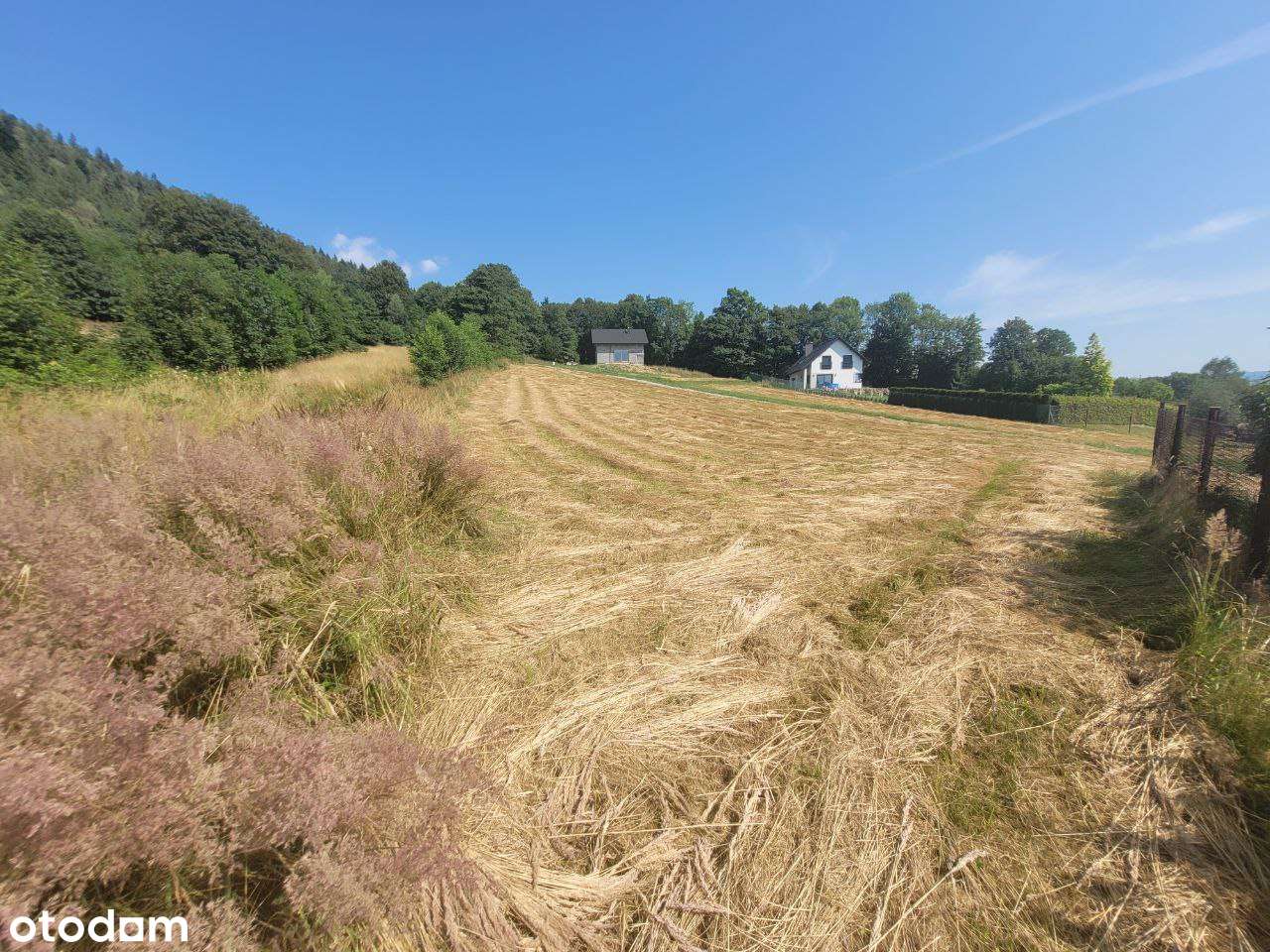 Widokowa działka budowlana Godziszka u podnóża Gór - Pełny obrazek: 3/11