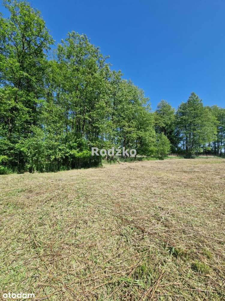 Działka, 3 144 m², Wałdowo Królewskie - Pełny obrazek: 5/13