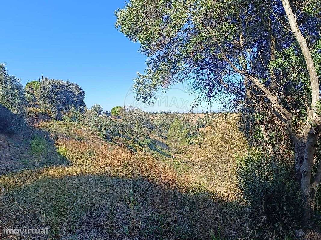 Terreno  para venda - Grande imagem: 5/11