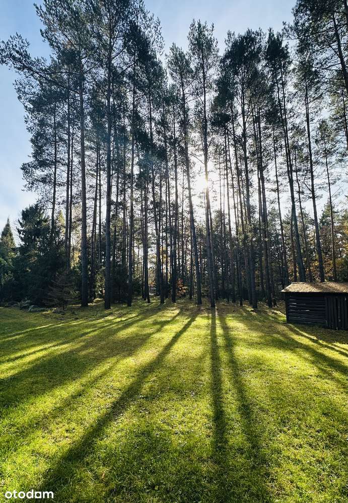Wyjątkowa, przepiękna działka z domem i własnym lasem - Pełny obrazek: 5/16