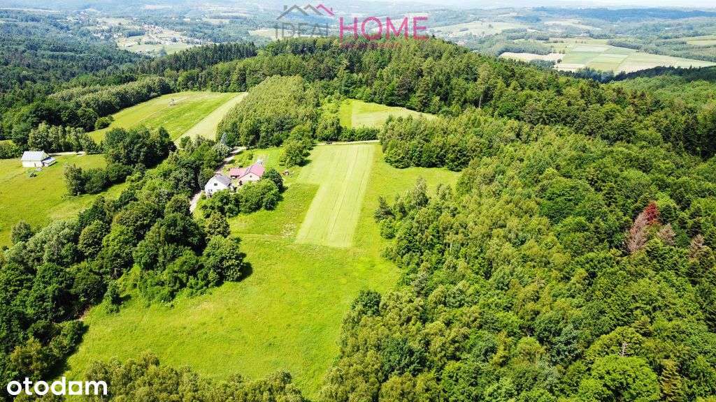Ostatnia z 5 działek na sprzedaż przy lesie- Lecka - Pełny obrazek: 5/9