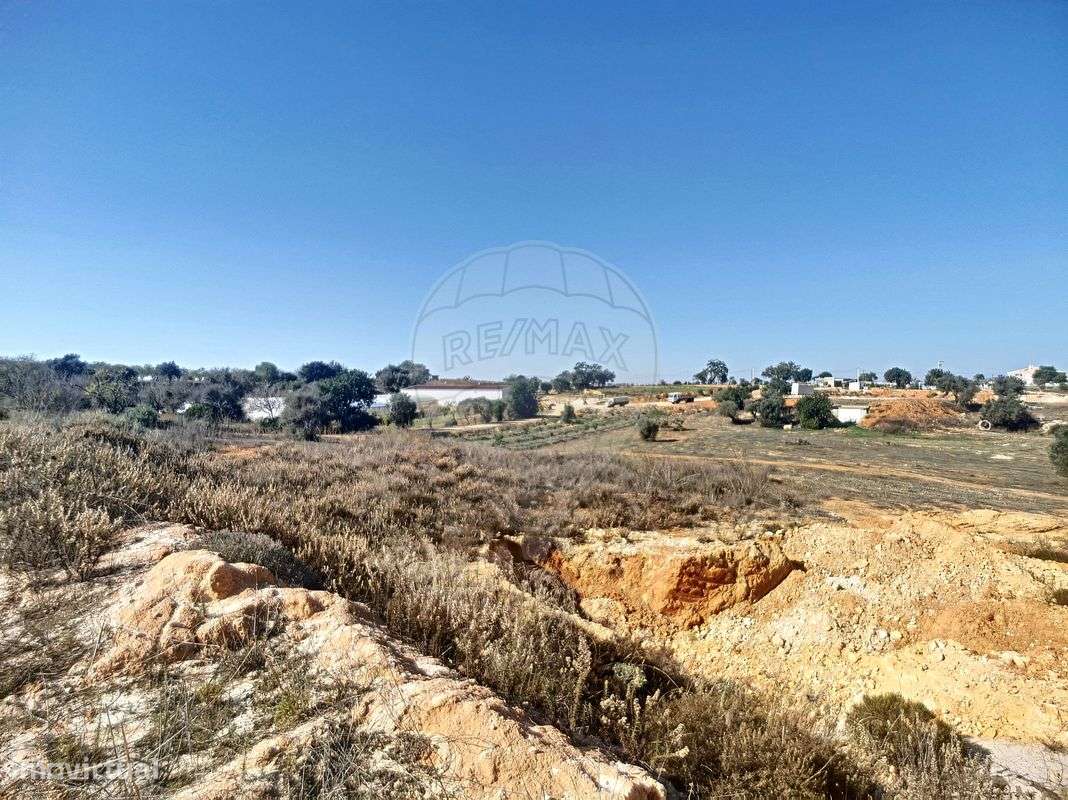 Quinta  para venda-23