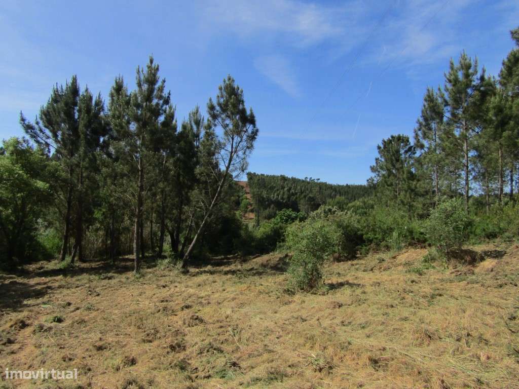 P26-238 Casal da Loba - Terreno Urbanizável no Centro de Portugal e...-17