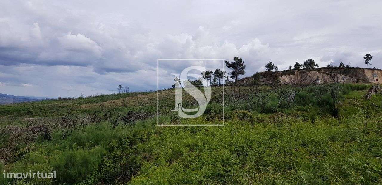Terreno – S. Lourenço de Ribapinhão - Sabrosa - Grande imagem: 5/13