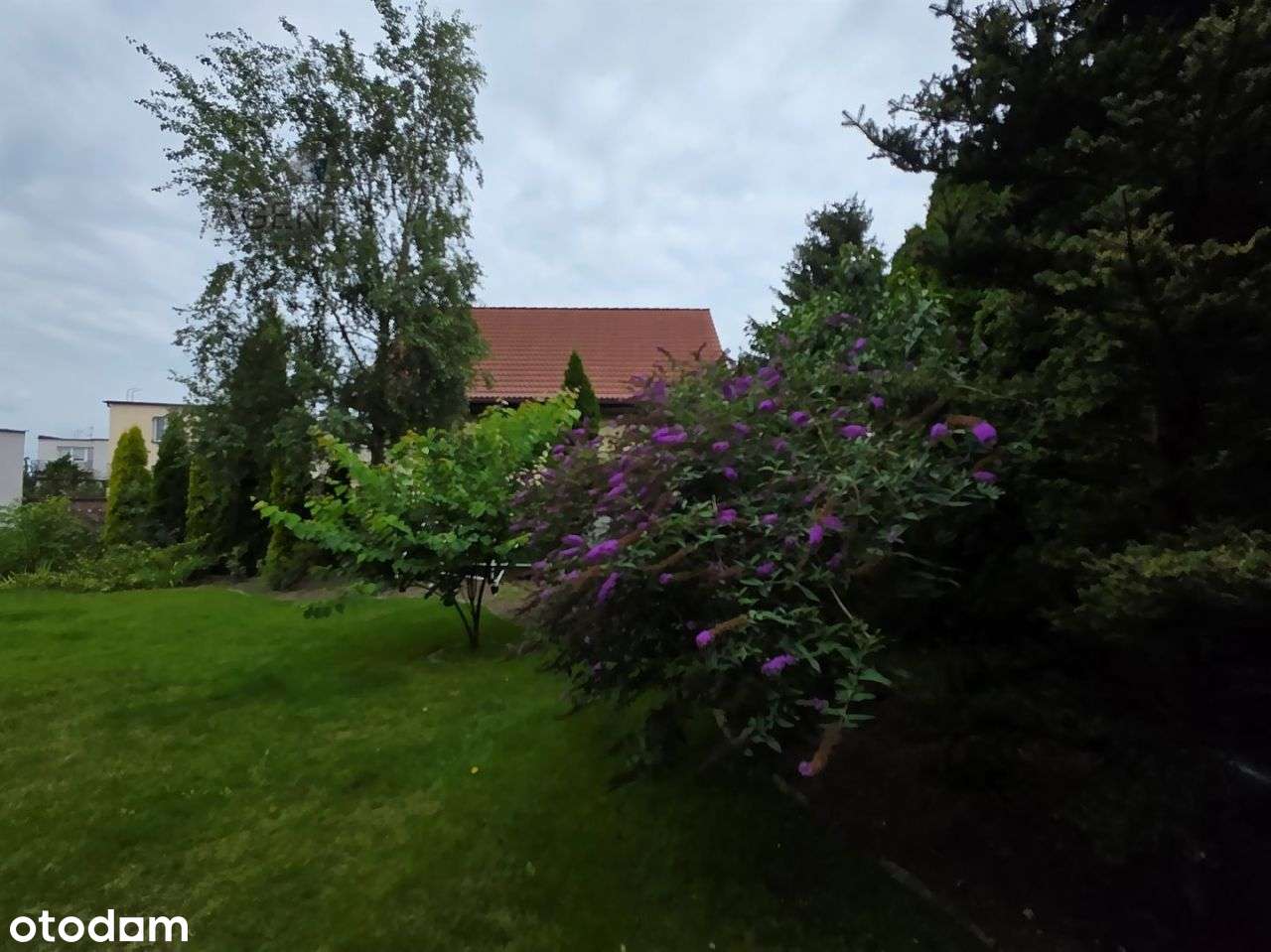 Dom, 166 m², Solec Kujawski-0