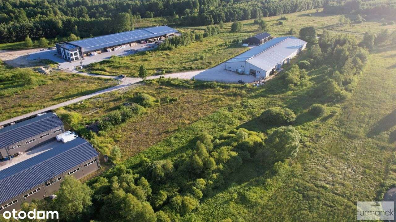 Działka pod usługi, produkcję lub magazyn przy Dw - Pełny obrazek: 4/17