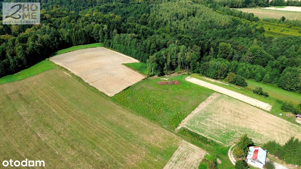 Twój kawałek spokoju - 38 arów w Gębiczynie-8