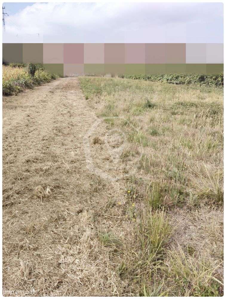 TERRENO PARA CONSTRUÇÃO - DUAS FRENTES! - Grande imagem: 5/5