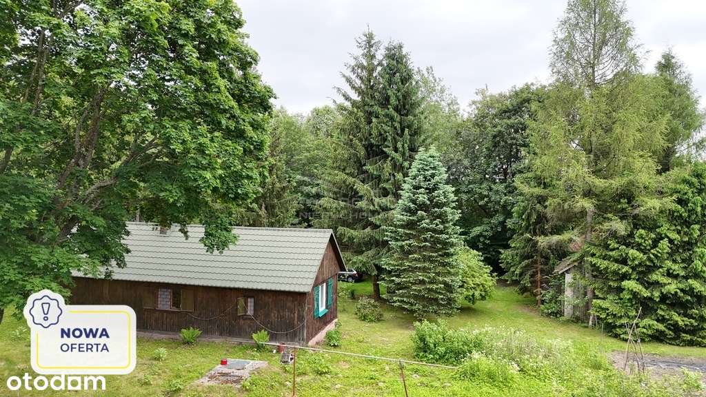 piękne ranczo z łąką i lasem pod Horyńcem-Zdrojem - Pełny obrazek: 1/15