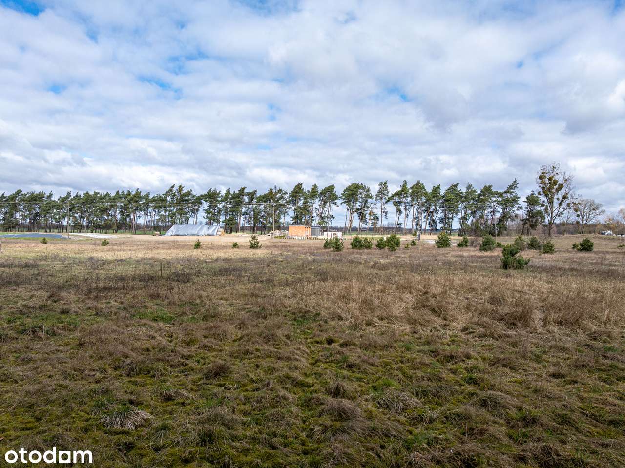 Las za oknem, śpiew ptaków w gratisie, oaza spokoju/Murzynowo Leśne-5