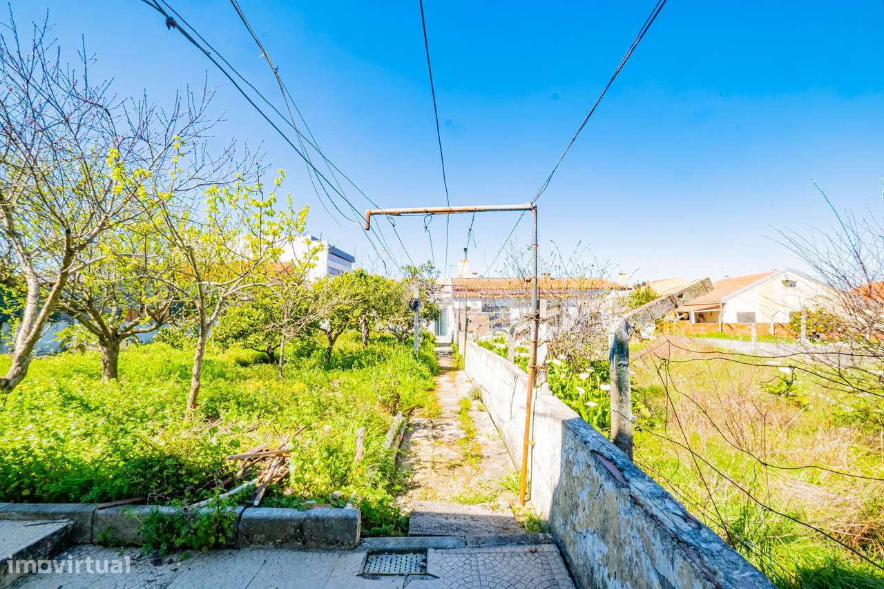 Moradia T3 com Quintal Amplo, Garagem e Anexo – Zona Tranquila da Moit-38