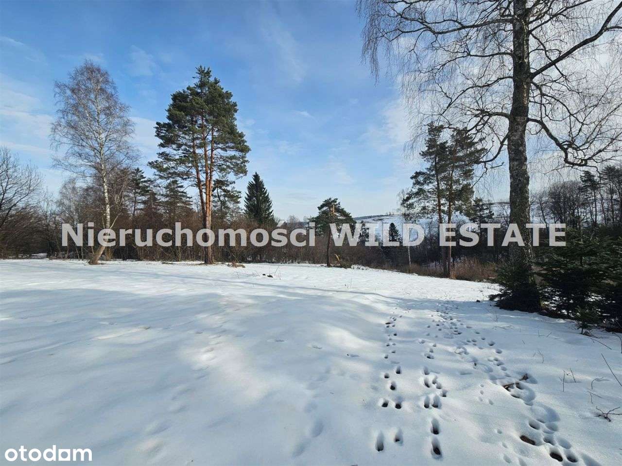 Działka, 1 026 m², Czarna Dolna-1