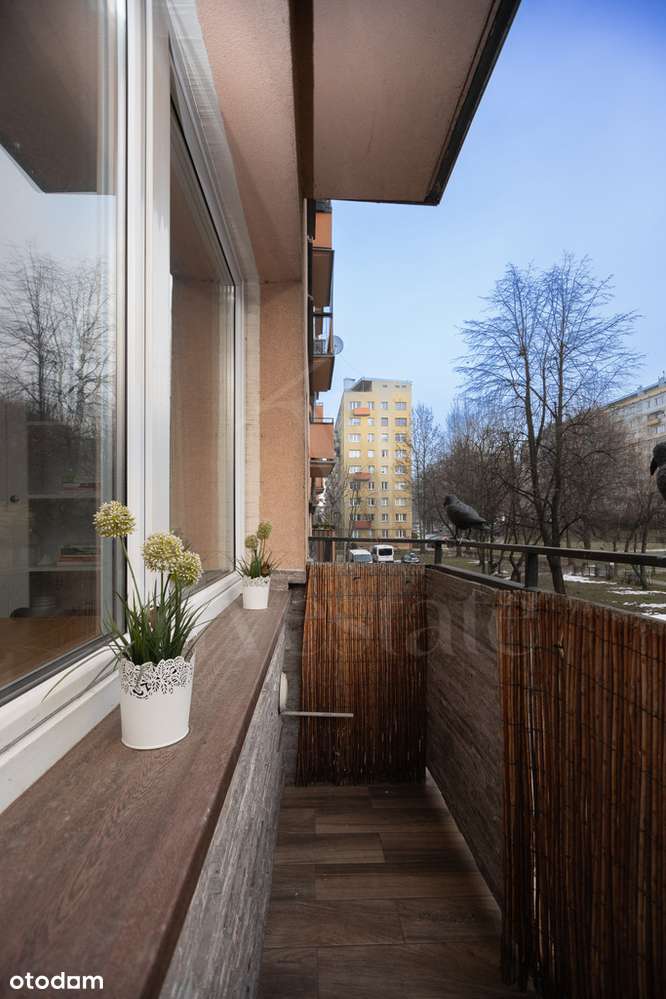 Nowa cena | 2 pokoje | oddzielna kuchnia-15