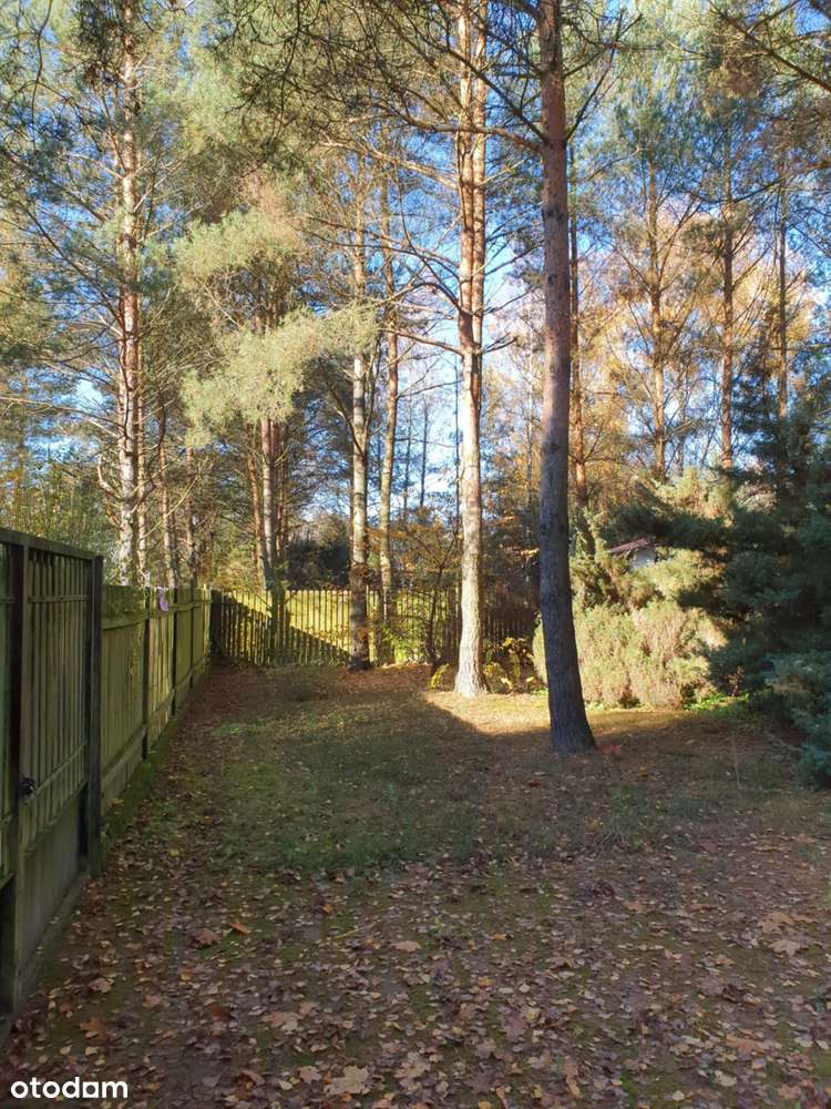 Dom letniskowy na sprzedaż w Siedlątkowie-9