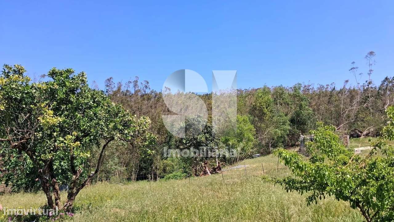 Quinta Rural com 7.900 m² e Três Construções Existentes-8