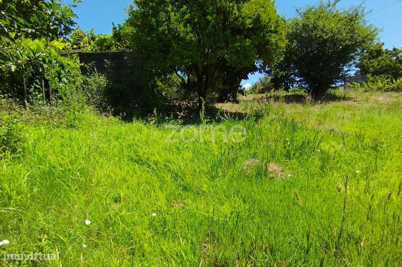 Terreno Almagreira-10