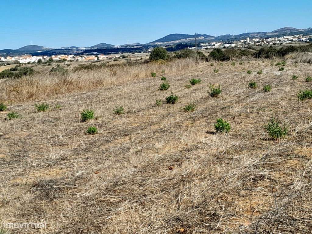 Terreno para Venda - Carne Assada, Terrugem - Grande imagem: 5/9