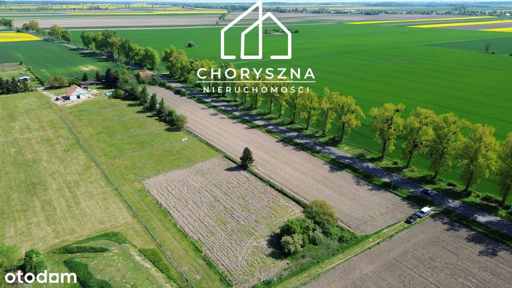 Działka budowlana w Bierutowie -możliwość podziału-4