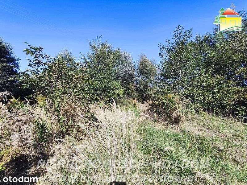 Atrakcyjna działka, w cenie przyczepa kempingowa z wyposażeniem - Pełny obrazek: 4/6