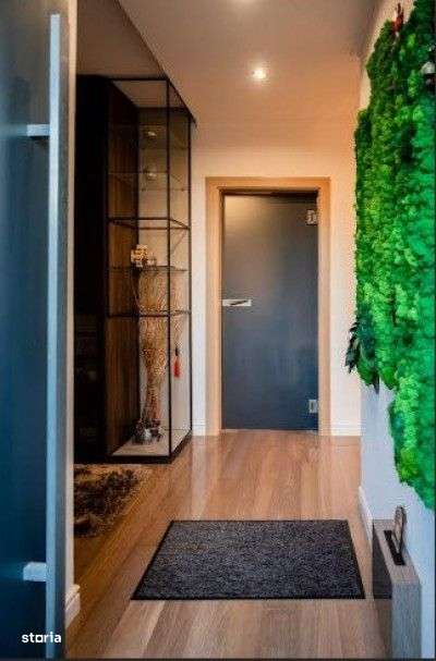Casa individuala LUX, 240 mp, teren 500 mp, str. Dianei, Faget-10