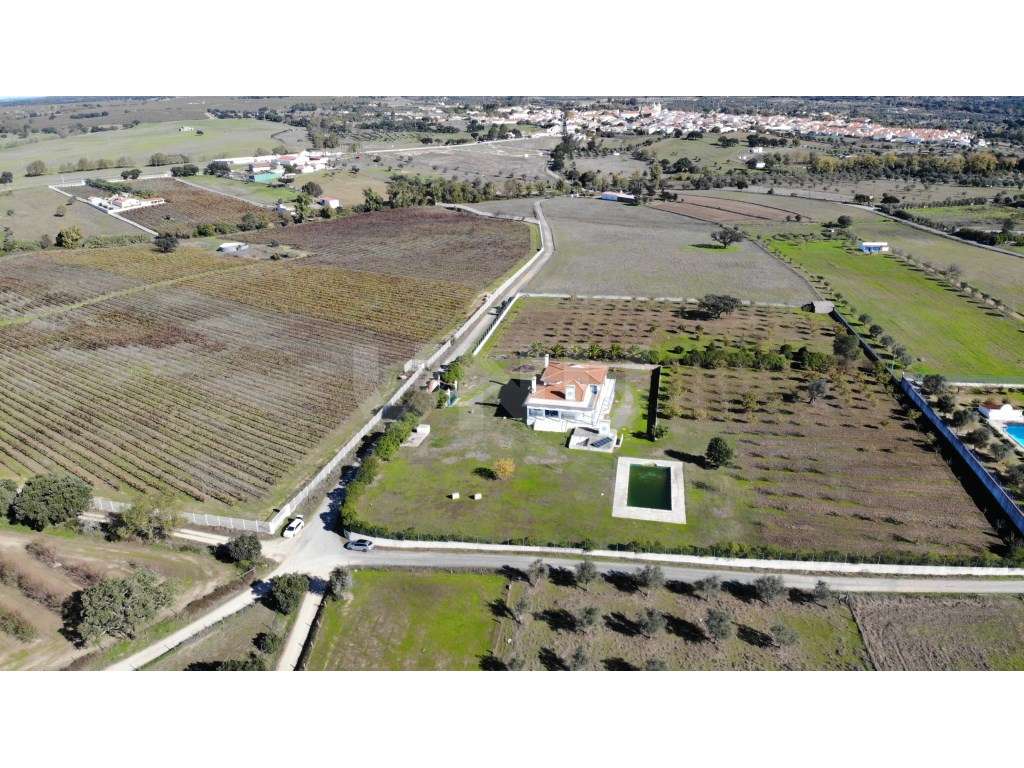 Quinta com 4,8 hectares e casa T9 em Vila Nova da Baronia-5