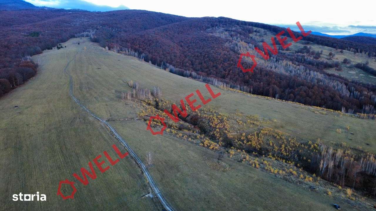 De vânzare teren extravilan la periferia localității Bățanii Mari - Imagine principală: 5/9