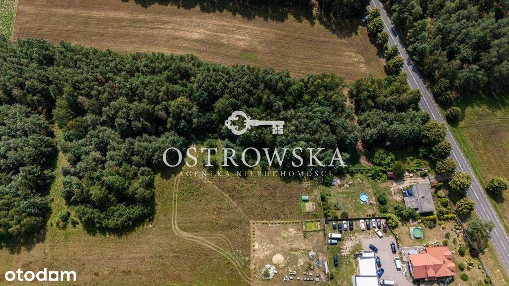 Działka rolna przy trasie Możliwość zakupu 7653 m2 - Pełny obrazek: 4/6