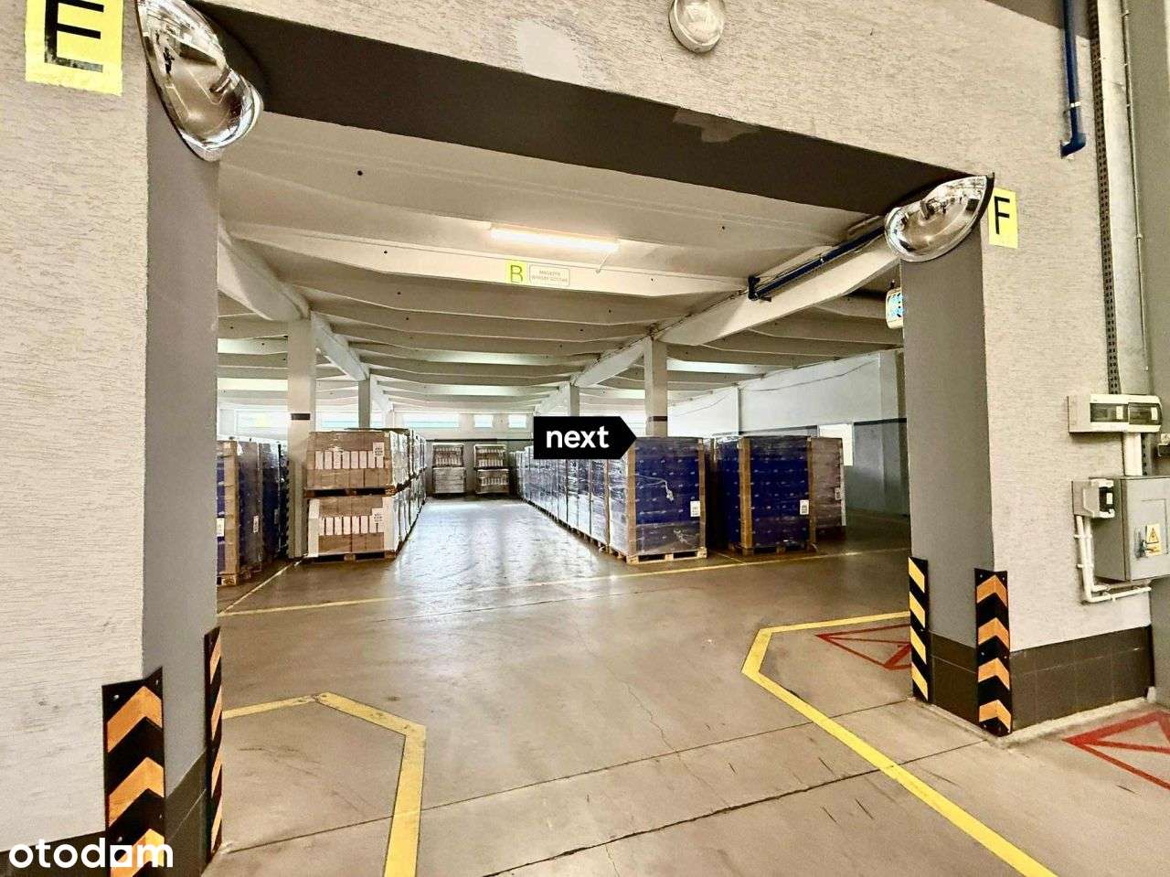 Lokal użytkowy, 1 636 m², Tarnów-12