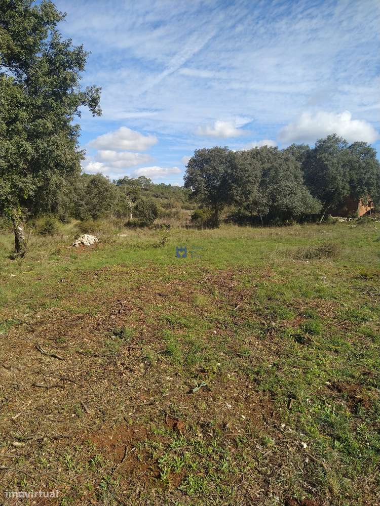 Terreno  em Fátima no lugar de Boleiros - Grande imagem: 4/12