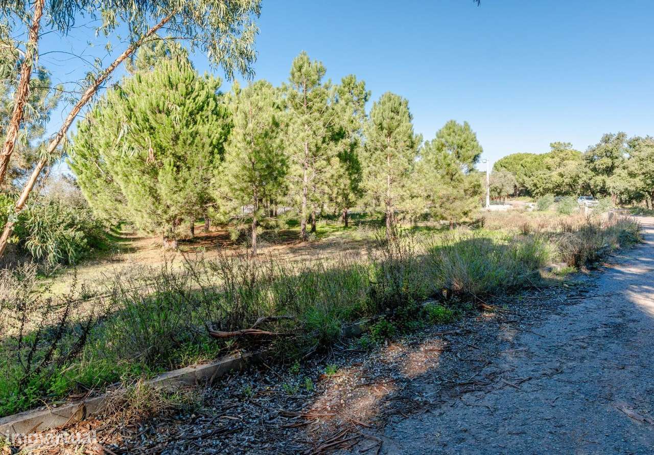 Terreno Urbano para Construção, Santo António da Charneca, Barreiro-3