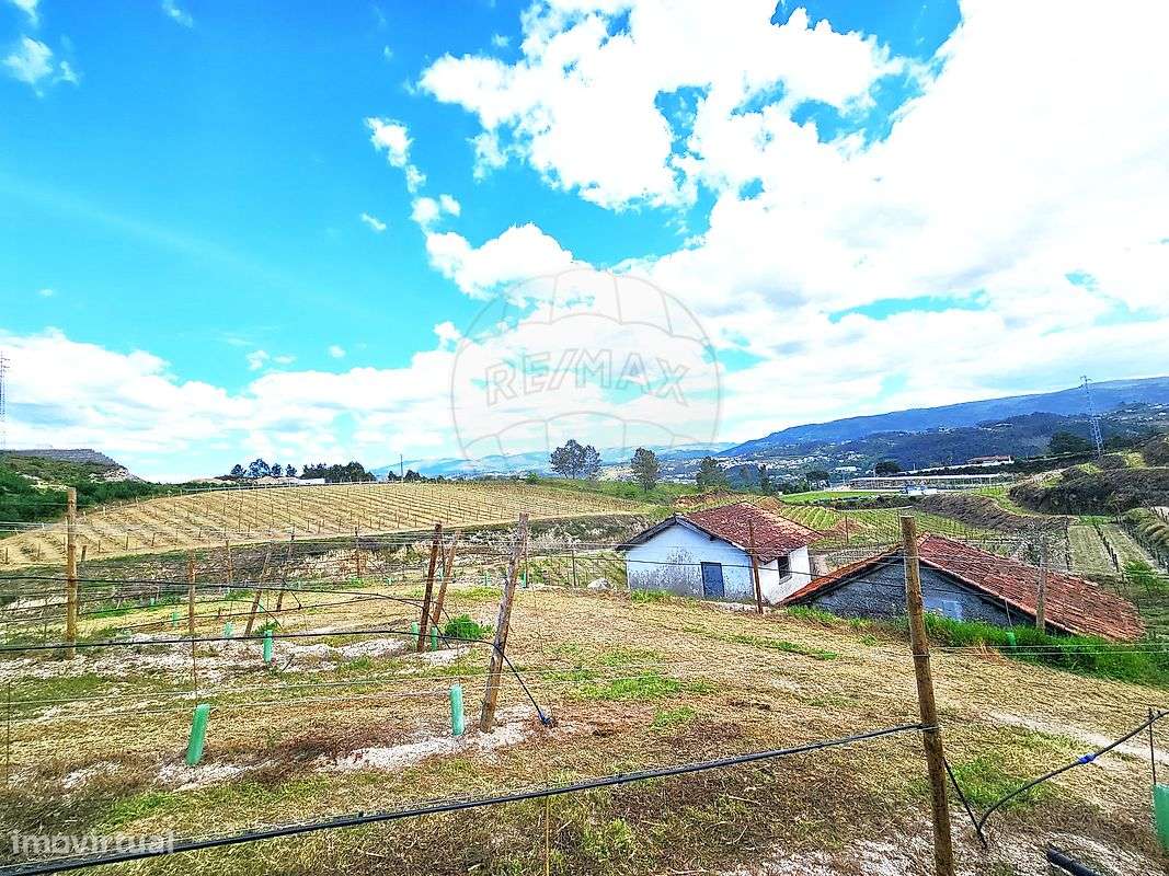 Herdade  para venda - Grande imagem: 4/13