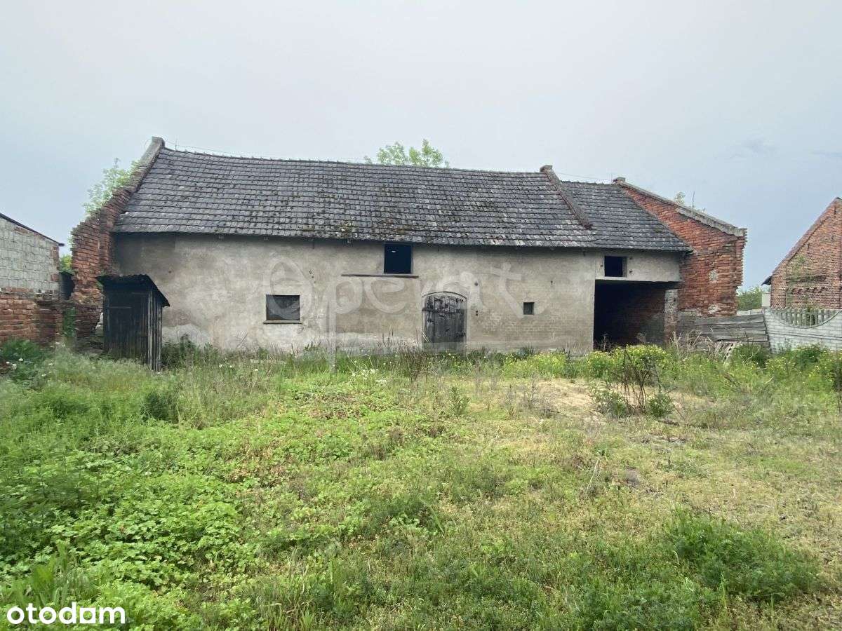 Dom wolnostojący - Pełny obrazek: 4/13