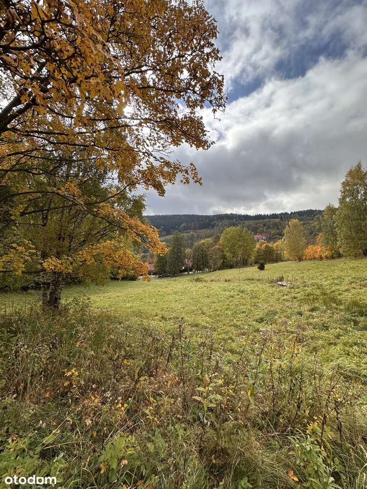 Działka w górach z decyzją o warunkach zabudowy, okolice Karpacza-7