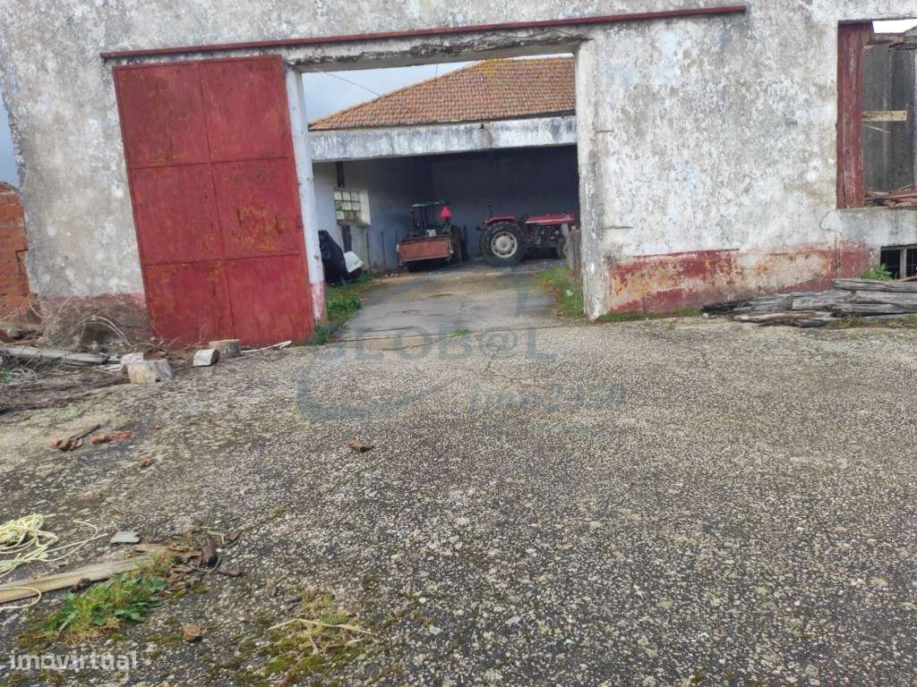 Conjunto imobiliário com antigo lagar e elevado potencial construti... - Grande imagem: 3/11