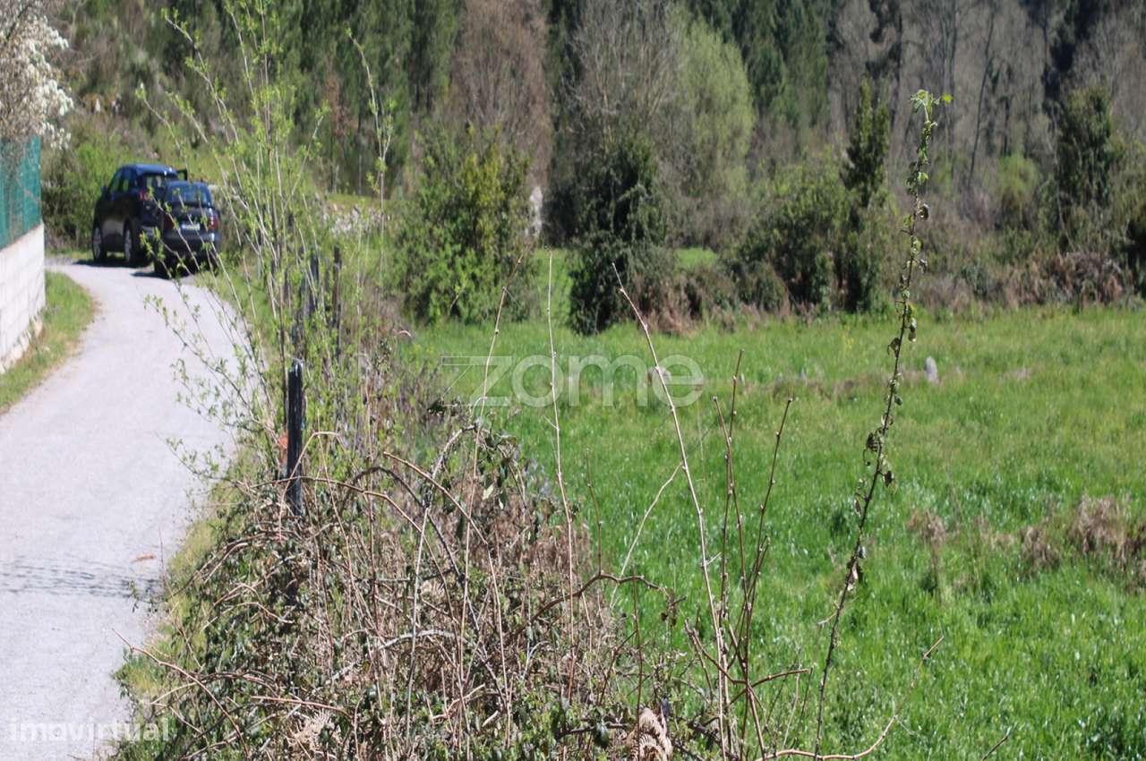 Terreno Único à Venda no Coração do Vale do Demo – Moimenta da Bei... - Grande imagem: 3/20