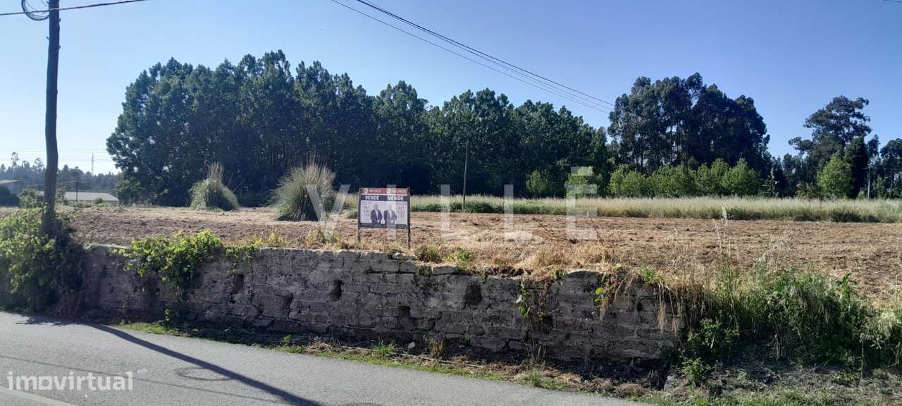 Terreno para Construção – Mamarrosa (Oliveira do Bairro) - Grande imagem: 5/13