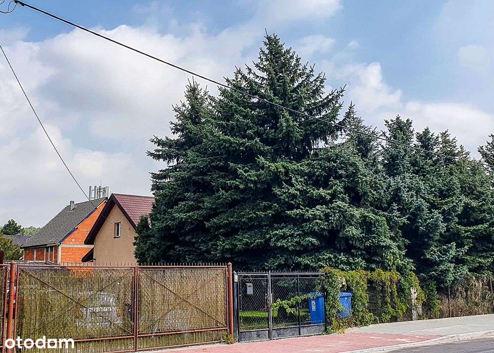 Działka mieszkaniowa lub usługowa przy Ks. Józefa!-6