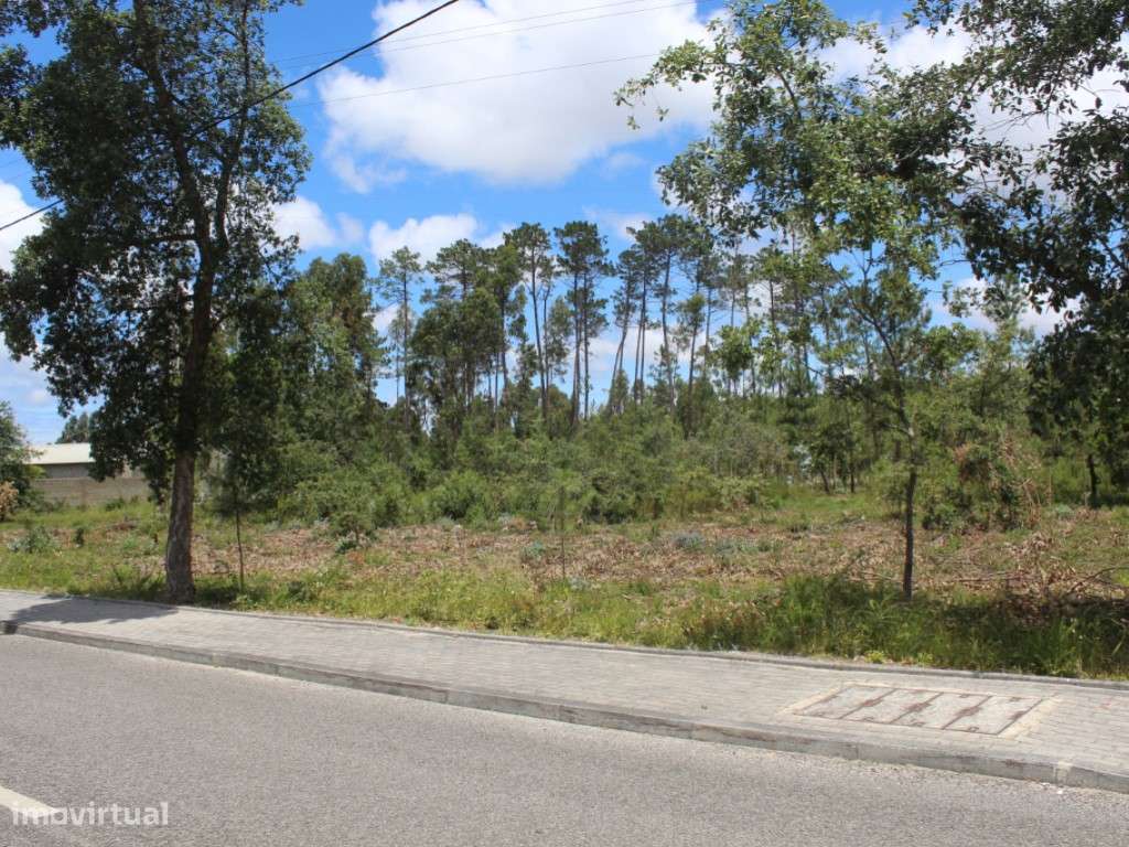 Terreno c/ 6970m2 - Grande imagem: 3/4