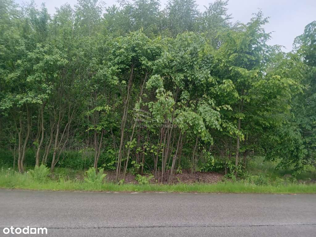 atrakcyjna działka budowlana Majdanek - Pełny obrazek: 5/7