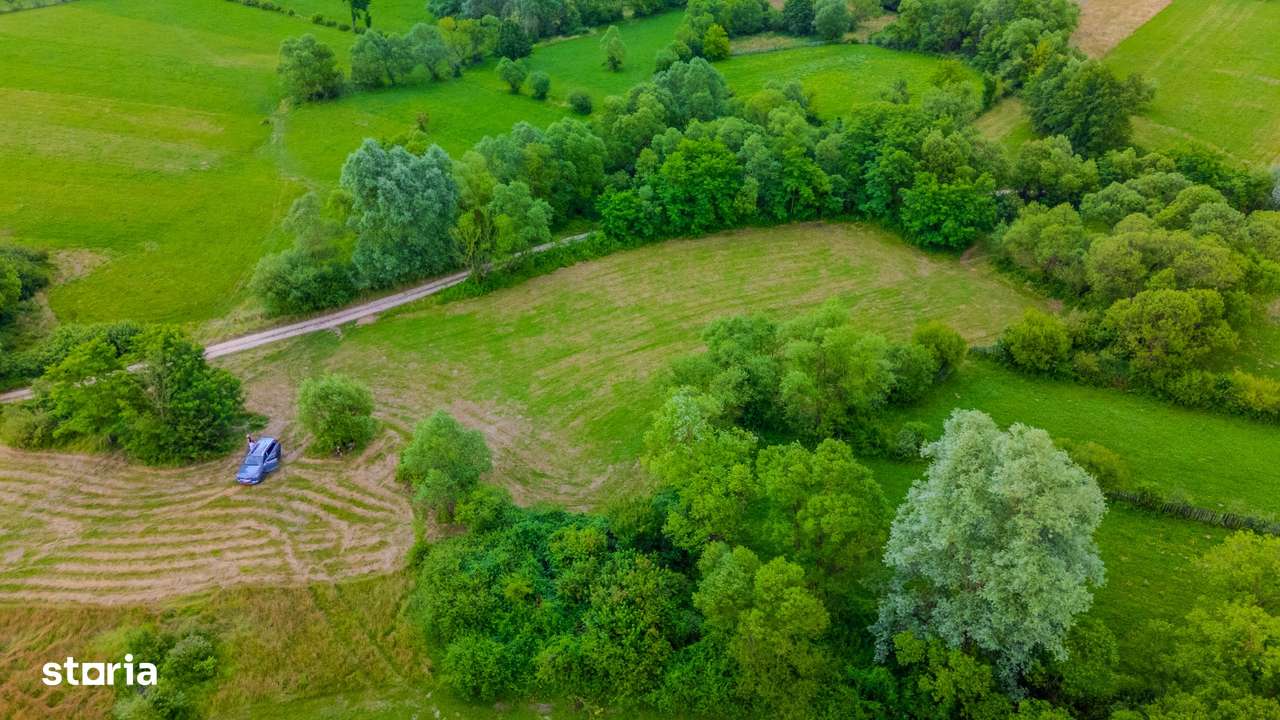 Teren recreational 3411 mp în zonă liniștită/Plata in 3 rate-6