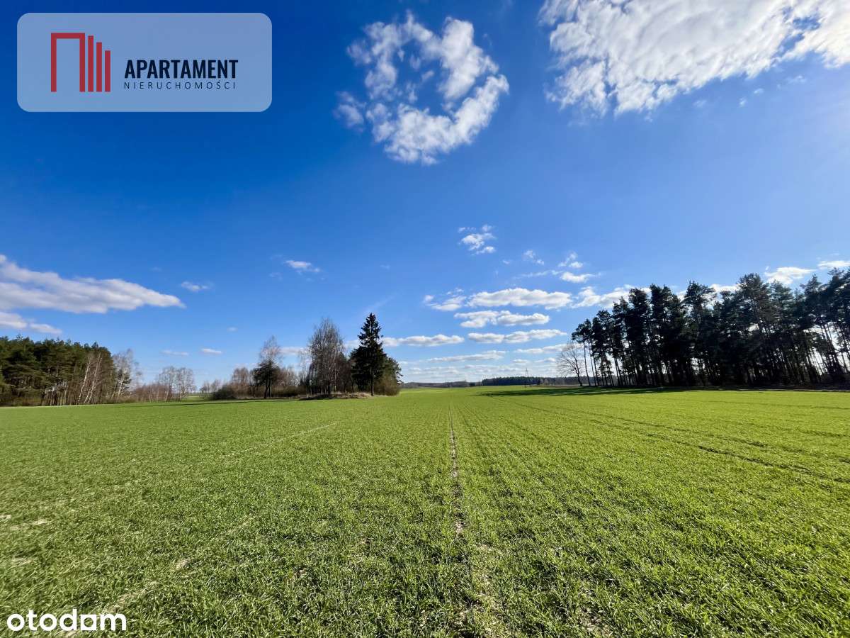 Siedlisko, 5,9 ha, pod inwestycje - Pełny obrazek: 5/14