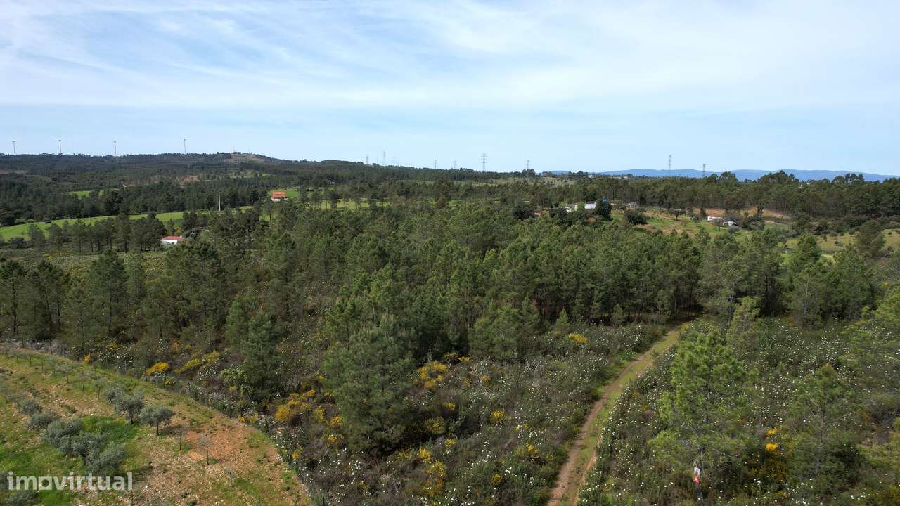 Terreno - Grande imagem: 5/6