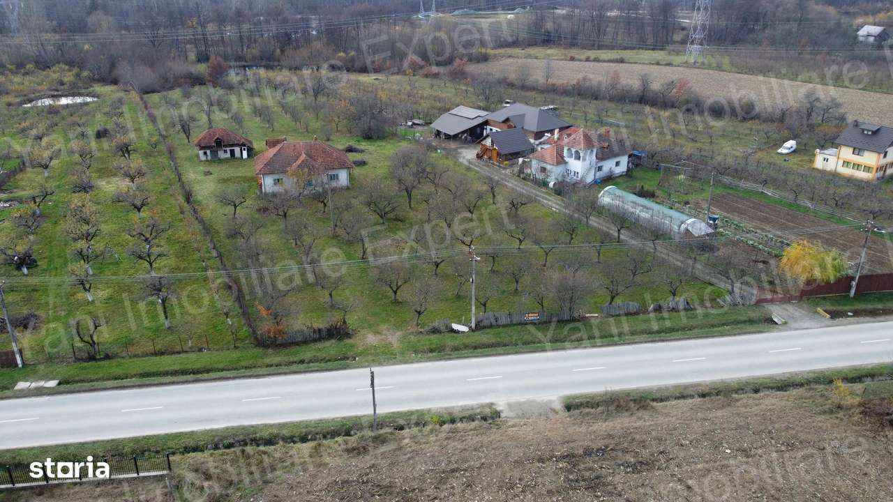 Teren 12.486 mp de vânzare în comuna Cepari, județ Argeș.-7