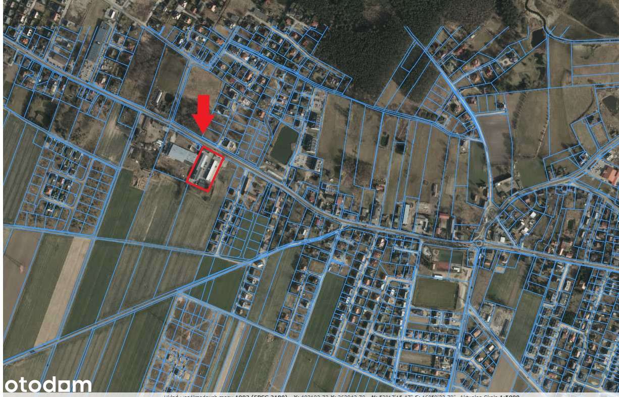 Lokal handlowo-usługowo-biurowy na wynajem o pow. 20 m² I piętro - Pełny obrazek: 5/5