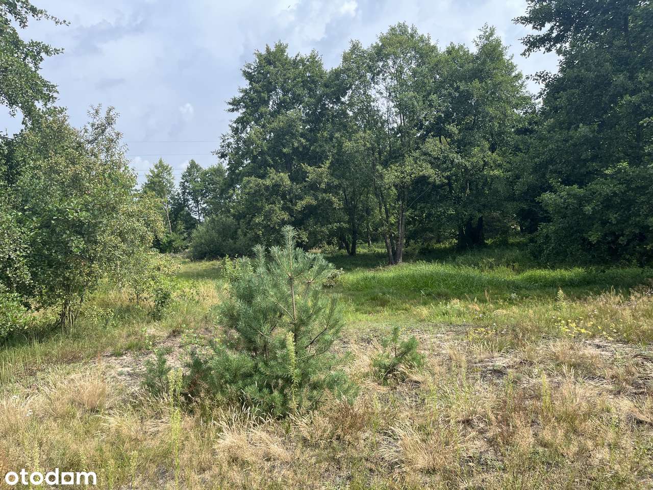 Syndyk sprzeda udział 1/2 w prawie własności działki nad Wartą - Pełny obrazek: 4/8