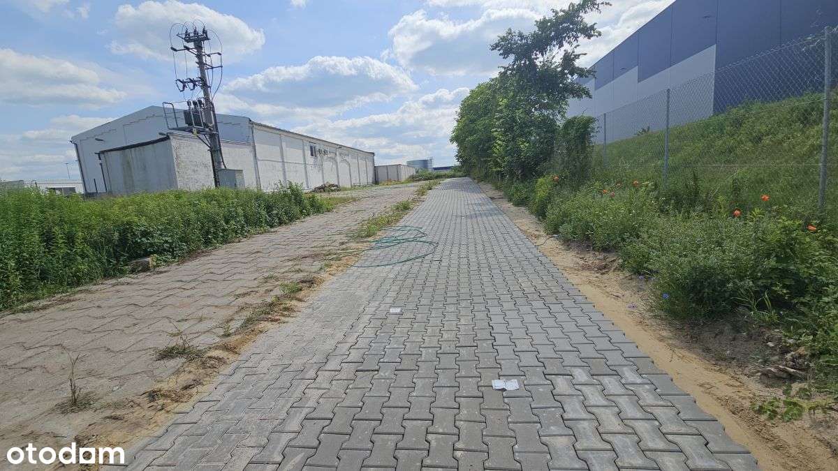 Plac SkŁadowy Przy S11 - Pełny obrazek: 5/6